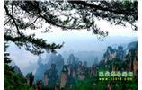 【純玩獨立成團(tuán)線路1】張家界、袁家界、天子山、寶峰湖/黃龍洞二晚三日