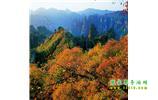 長(zhǎng)沙往返張家界、天子山、寶峰湖/黃龍洞三日游