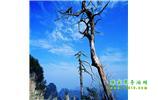 湘西之旅：張家界、天子山、寶峰湖/黃龍洞、鳳凰古城、猛洞河漂流、天門山六日游