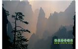 張家界國(guó)家森林公園、寶峰湖/黃龍洞、鳳凰古城、三峽八日游