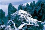 【純玩散拼線路17】張家界、天子山、芙蓉鎮(zhèn)、猛洞河漂流、鳳凰古城三晚四日游