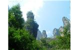 【純玩拼團(tuán)線(xiàn)路 張家界出發(fā)A2線(xiàn)】張家界、袁家界、天子山、金鞭溪、鳳凰古城2晚3日游